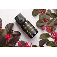 6 Piece Sherwood 10ml Essential Oils Set